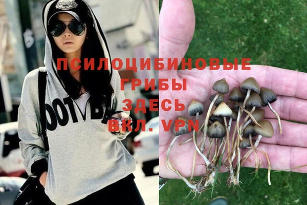 альфа пвп Абдулино