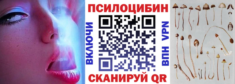OMG сайт  хочу   Ильский  Псилоцибиновые грибы Psilocybine cubensis 